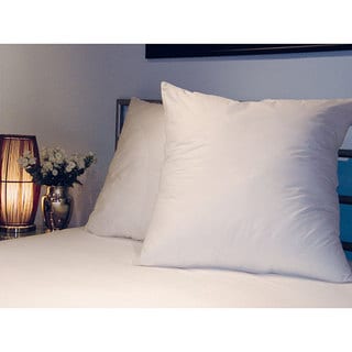 Decorator 28x28-inch Euro Square Pillows (Set of 2)