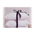 Essential Cotton Pillow (Case of 10)