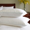 Good Housekeeping Easy Care PrimaLoft Nano-Tex Pillow