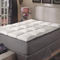 Premier Natural White Feather Baffle Box Featherbed Cover Set