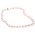 14k Gold Cultured Freshwater Pearl Necklace (9-10 mm)
