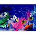 Vivid Splendor by Miller Stretched Canvas Art