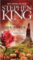 Dark Tower VII: The Dark Tower, Volume 7 by Stephen King (Paperback)