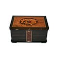 Ebony Wood Cigar Humidor