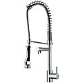 Swivel Spout Pre-rinse Kitchen Faucet