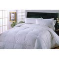 Premium 600 Thread Count Down Comforter