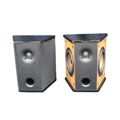 Premier Acoustic PA-6S Surround Speakers (Pair)