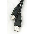 USB 2.0 A-B High Speed 6-foot Printer Cable