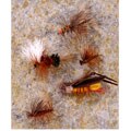 All Around 36-piece Dry Flys Fly Fishing Selection