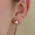 14k Gold Akoya Cultured Pearl Stud Earrings (6-6.5 mm)