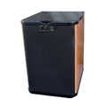 Premier Acoustic PA-10 Subwoofer