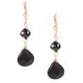 Charming Life Black Crystal Accented Onyx Briolette Earring
