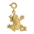 14k Yellow Gold Frog Charm