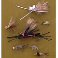 Southern Rockies 36-piece Fly Set