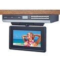 Audiovox Drop-down 9-inch LCD TV w/ DVD Player