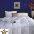 Royal Velvet Milan Down Alternative Comforter