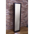 Swivel Bookcase Mirror