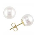 14k Yellow Gold Cultured Pearl Earrings (Set of 12)