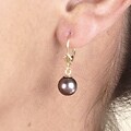 DaVonna 14k Yellow Gold Akoya Pearl Earrings