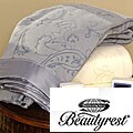 Beautyrest Embossed Queen Warming Electric Blanket