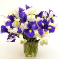 Assorted Iris Bouquet