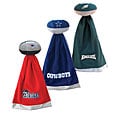 NFL Eastern Division Snuggle Ball