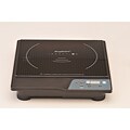 1600-Watt Portable Induction Stove