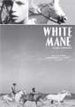 White Man - Janus Films (DVD)
