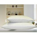 Arctica Down Pillows (Set of 2)