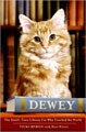 Dewey by Vicki Myron (Hardcover)