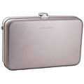 Vanguard Swing 19 Silver MP3 Organizer Case