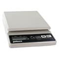 Pelouze Electronic Scales