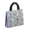Mother of Pearl Evening Bag