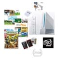 Nintendo Wii Summer Fun Bundle