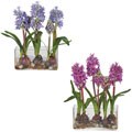 Rectangle Vase with Hyacinth Silk Flowers