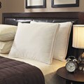 Down-like 500 Thread Count Pillows (Set of 2)