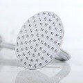 Chicago Chrome Showerhead
