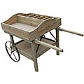 Authority on Distressed iron Deluxe Wine and Flower Cart Planter