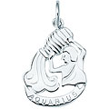 Sterling Silver Aquarius Charm