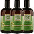 Aromaland Tea Tree and Lemon 12-ounce Body Oils (Pack of 3)