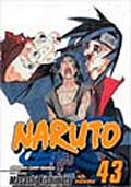 Naruto 43 (Paperback)