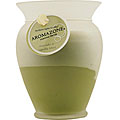 Avocado and Vanilla Mint Men's Candle