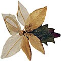 Sheer Poinsettia Napkin Rings (Set of 6)