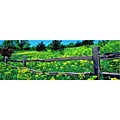 Nathan Lovas 'Mustard Fence' Canvas Art