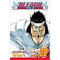Bleach 28 (Paperback)