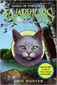 The Fourth Apprentice (Hardcover)