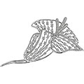 18k Gold 2 3/4ct TDW Diamond Flower Brooch (GH, SI)