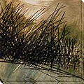 Caroline Ashton 'Nest Series I' Gallery-wrapped Art