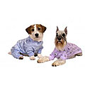 K SMall Quad surfboards Public sale K-9 Lilac Sweet Dreams Pajamas