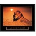 'Leadership - Lion' Framed Art Print